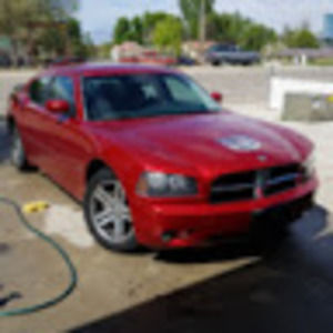 Meet your Posher, Ronnie